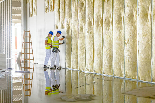 Best Geographic-Specific Insulation Services in Coord, NC